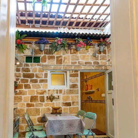 Vintage Bossanova スプリト